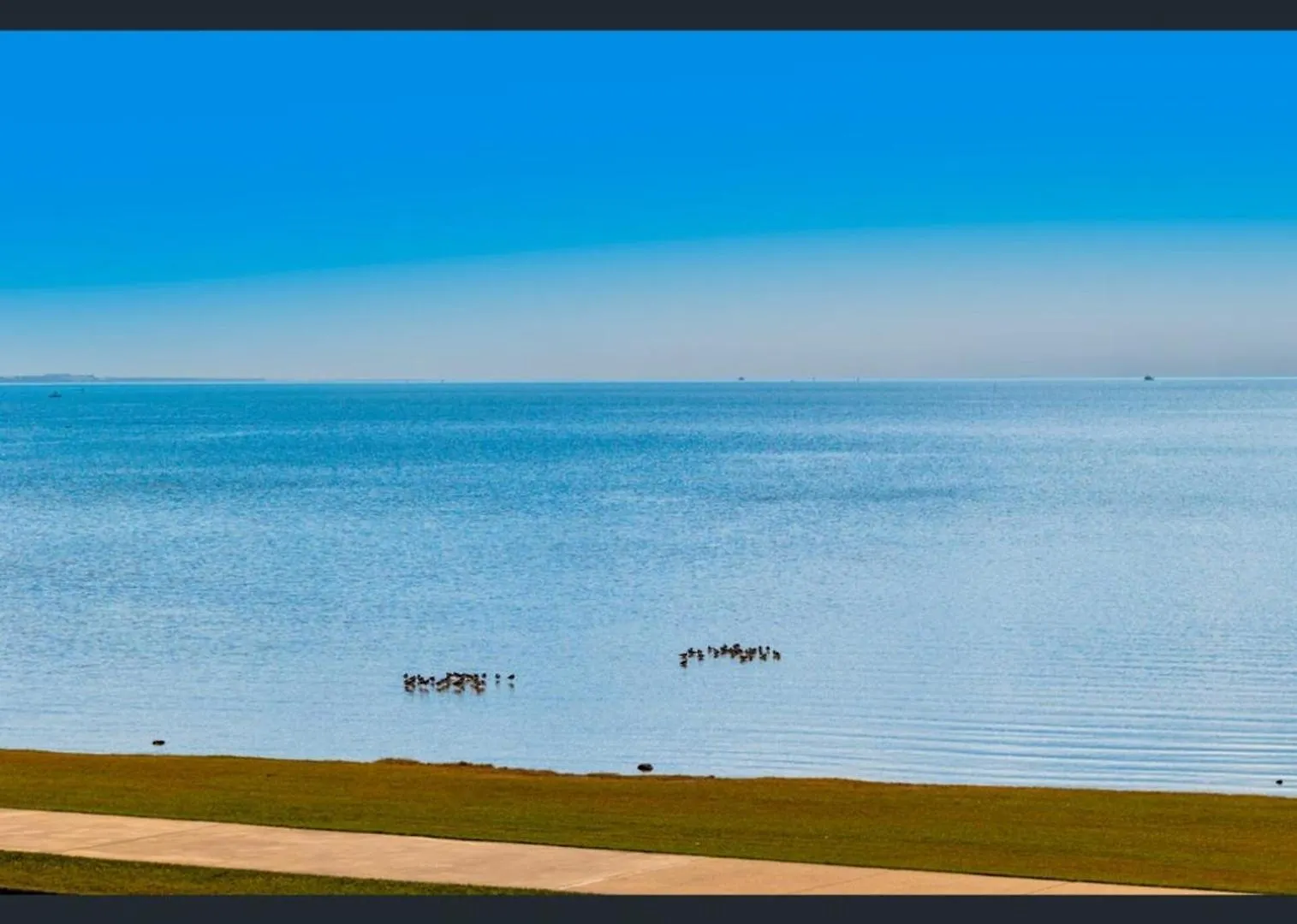 Holiday home Beachfront Oasis With Private Pool And Nice Views Birkdale