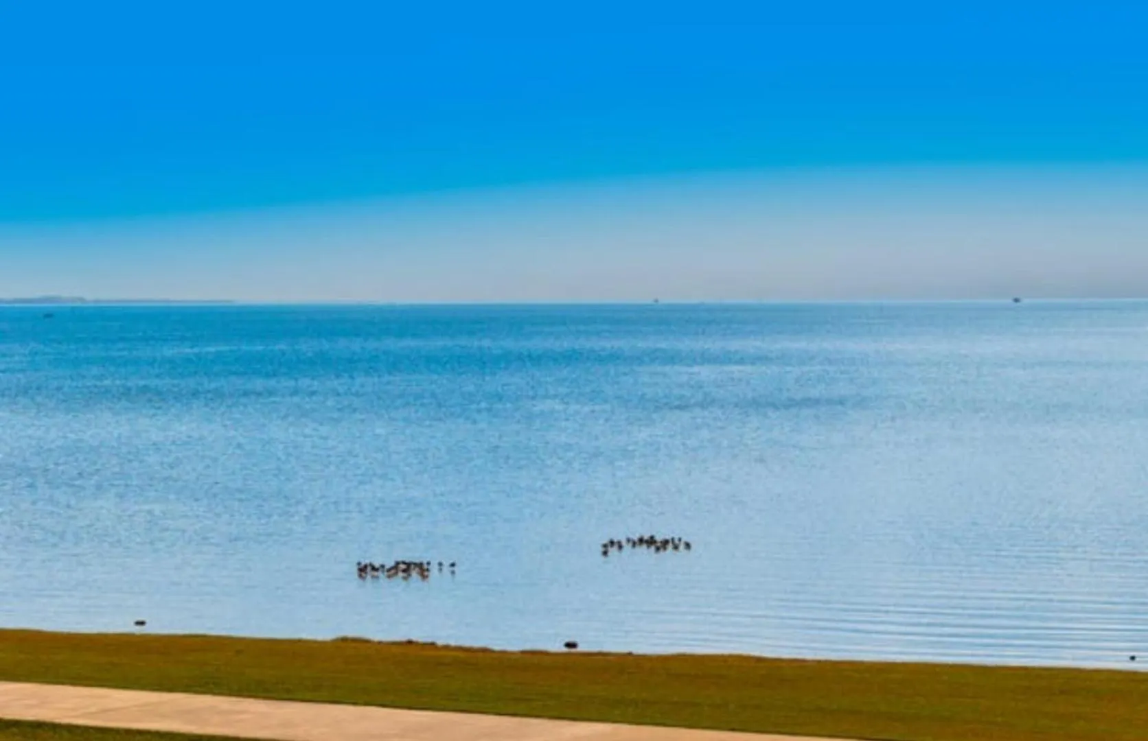 Thorneside Seaside Dream Home Near The Blue Sea Birkdale 0*,  Australia